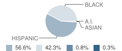 Jackson Main Elementary School Student Race Distribution