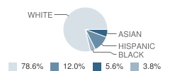 Blue Mountain Middle School Student Race Distribution