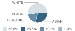 Lee Avenue School Student Race Distribution