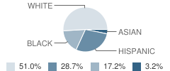 Highland Falls Elementary School Student Race Distribution