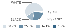 Flower Hill School Student Race Distribution