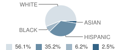 Southdown School Student Race Distribution