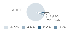 Theresa Primary School Student Race Distribution