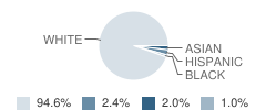 Wales Primary School Student Race Distribution