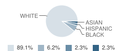 Briarwood School Student Race Distribution