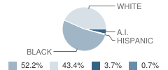 Hopevale School Student Race Distribution