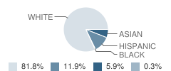 Michael F. Stokes School Student Race Distribution