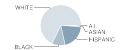 Clinton V. Bush Elementary School Student Race Distribution