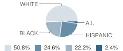 Samuel G. Love Elementary School Student Race Distribution