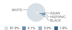 Alexander Hamilton Elementary School Student Race Distribution