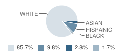 Lakeview Elementary School Student Race Distribution