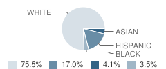 Mamaroneck High School Student Race Distribution