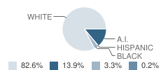 Jefferson Elementary School Student Race Distribution