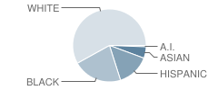 Longwood Middle School Student Race Distribution