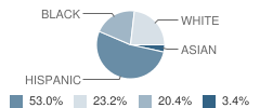 John W. Chorley School Student Race Distribution