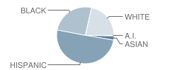 Maple Hill Elementary School Student Race Distribution