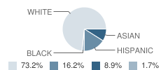 Hampton Street School Student Race Distribution