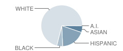 Fox Lane Middle School Student Race Distribution