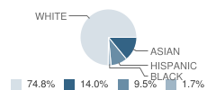 Highview Elementary School Student Race Distribution