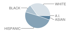 Henry Barnard School Student Race Distribution