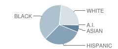 Horizon-On-The-Hudson Magnet School Student Race Distribution