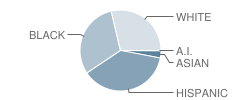 North Junior High School Student Race Distribution