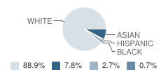 Loudonville School Student Race Distribution
