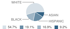 Liberty Elementary School Student Race Distribution