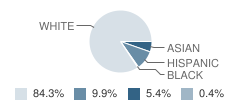 School 8 Student Race Distribution