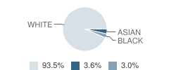 Lincoln School Student Race Distribution