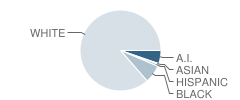 Wheeler School Student Race Distribution