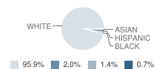 South Seneca High School Student Race Distribution