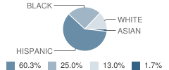 Woodside School Student Race Distribution