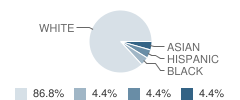 Indian Landing Elementary School Student Race Distribution