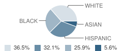 Pakanasink Elementary School Student Race Distribution