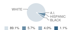 Cold Spring Elementary School Student Race Distribution