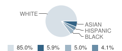 Allen Creek School Student Race Distribution