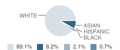 Pittsford Sutherland High School Student Race Distribution