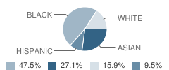 School 15-Children's School of Rochester (The) Student Race Distribution