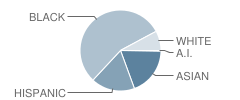 Thomas Jefferson High School Student Race Distribution