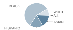 School 5-John Williams Student Race Distribution