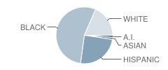 School 30-General Elwell S Otis Student Race Distribution