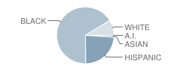 School 36-Henry W Longfellow Student Race Distribution