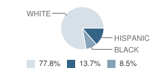 Watson School Student Race Distribution