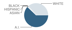 Salmon River Junior-High School Student Race Distribution