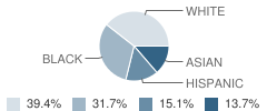 Woodlawn School Student Race Distribution