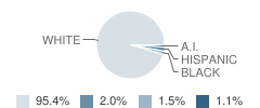 J. D. George Elementary School Student Race Distribution