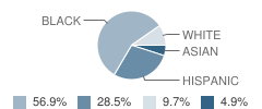 Chestnut Ridge Middle School Student Race Distribution