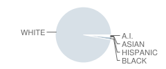 Starpoint High School Student Race Distribution