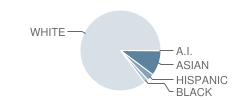 Arrowhead Elementary School Student Race Distribution